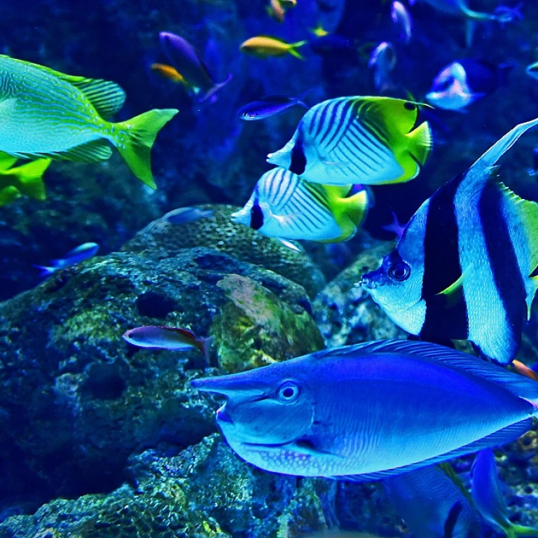 Créez un Paradis Sous-Marin: Astuces pour la Décoration d'Aquarium et le Choix des Plantes