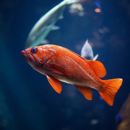 L'art de l'aquarium pour poissons combattants