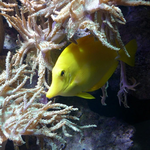 Le fascinant poisson scalaire : un joyau de nos aquariums